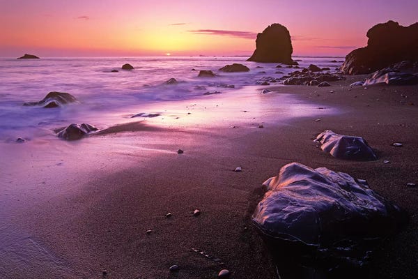 Orchid Pink: Enderts Beach At Sunset, Redwood National Park, California by Tim Fitzharris