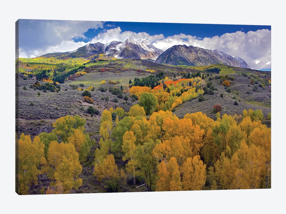 Fall Colors At Chair Mountain, Colorado by Tim Fitzharris 1-piece Canvas Print