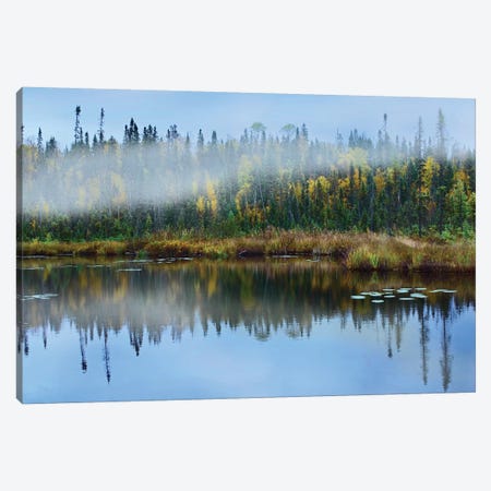 Fog Over Lake, Ontario, Canada Canvas Print #TFI371} by Tim Fitzharris Canvas Artwork