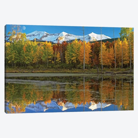 Full Moon Over East Beckwith Mountain Rising Above Fall Colored Aspen Forests, Colorado Canvas Print #TFI383} by Tim Fitzharris Canvas Art Print