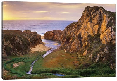 Garrapata Creek Flowing Into The Pacific Ocean, Garrapata State Beach, Big Sur, California Canvas Art Print - Big Sur Art