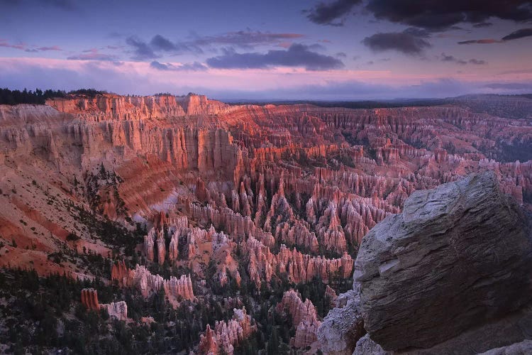 Amphitheater From Bryce Point, Bryce Canyon National Park, Utah