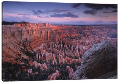 Amphitheater From Bryce Point, Bryce Canyon National Park, Utah Canvas Art Print - Bryce Canyon National Park