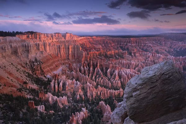 Utah: Amphitheater From Bryce Point, Bryce Canyon National Park, Utah by Tim Fitzharris