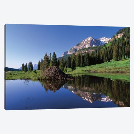 Gothic Mountain And Beaver Lodge, Near Crested Butte, Colorado Canvas Print #TFI397} by Tim Fitzharris Art Print