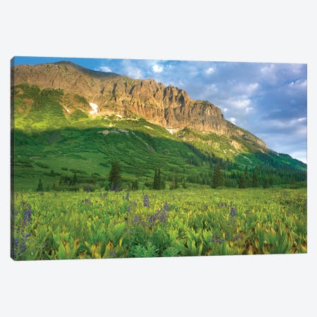 Gothic Mountain Overlooking Meadow Near Crested Butte, Colorado Canvas Print #TFI398} by Tim Fitzharris Canvas Artwork