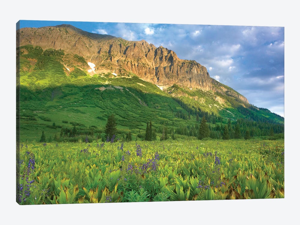 Gothic Mountain Overlooking Meadow Near Crested Butte, Colorado 1-piece Canvas Print