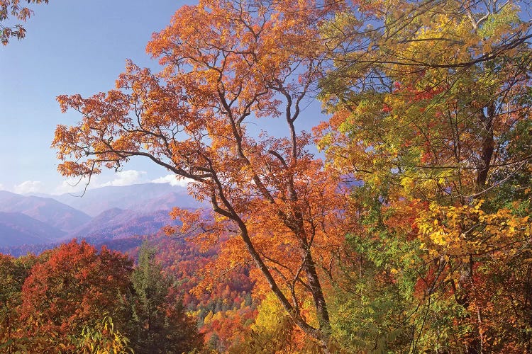 Great Smoky Mountains From, Blue Ridge Parkway, North Carolina by Tim Fitzharris wall art