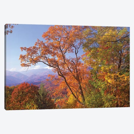 Great Smoky Mountains From, Blue Ridge Parkway, North Carolina Canvas Print #TFI428} by Tim Fitzharris Canvas Art