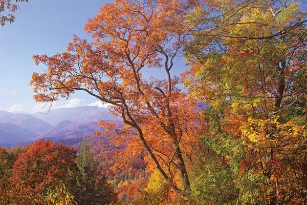 Tim Fitzharris: Great Smoky Mountains From, Blue Ridge Parkway, North Carolina by Tim Fitzharris