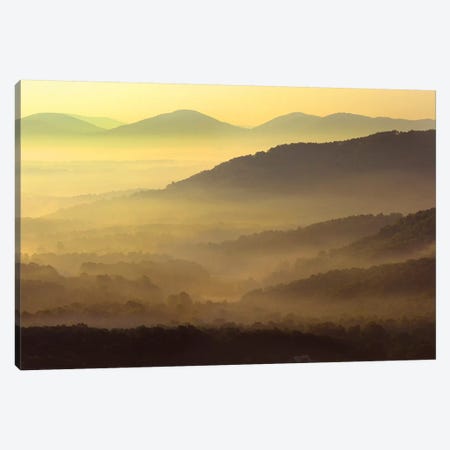 Appalachian Mountains From Doughton Park, Blue Ridge Parkway, North Carolina II Canvas Print #TFI44} by Tim Fitzharris Art Print