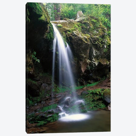 Grotto Falls With The Roaring Fork Motor Nature Trail Passing Beneath, Great Smoky Mountains National Park, Tennessee Canvas Print #TFI450} by Tim Fitzharris Art Print