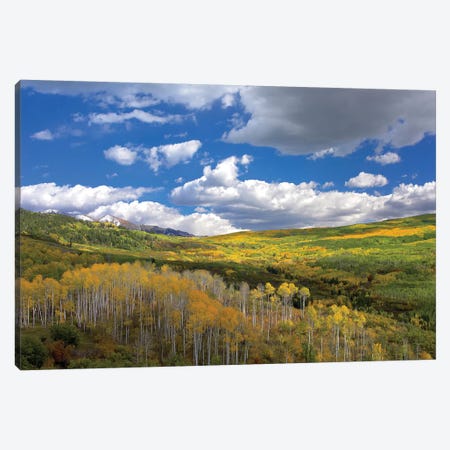 Gunnison National Forest In Fall, Colorado Canvas Print #TFI451} by Tim Fitzharris Canvas Art Print