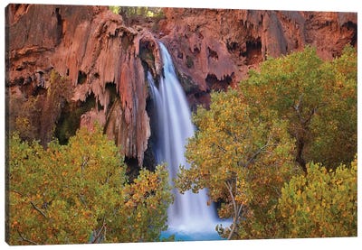 Havasu Falls, Grand Canyon, Arizona IV Canvas Art Print