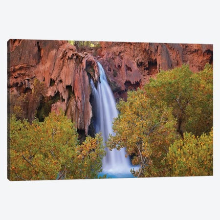 Havasu Falls, Grand Canyon, Arizona IV Canvas Print #TFI459} by Tim Fitzharris Canvas Print