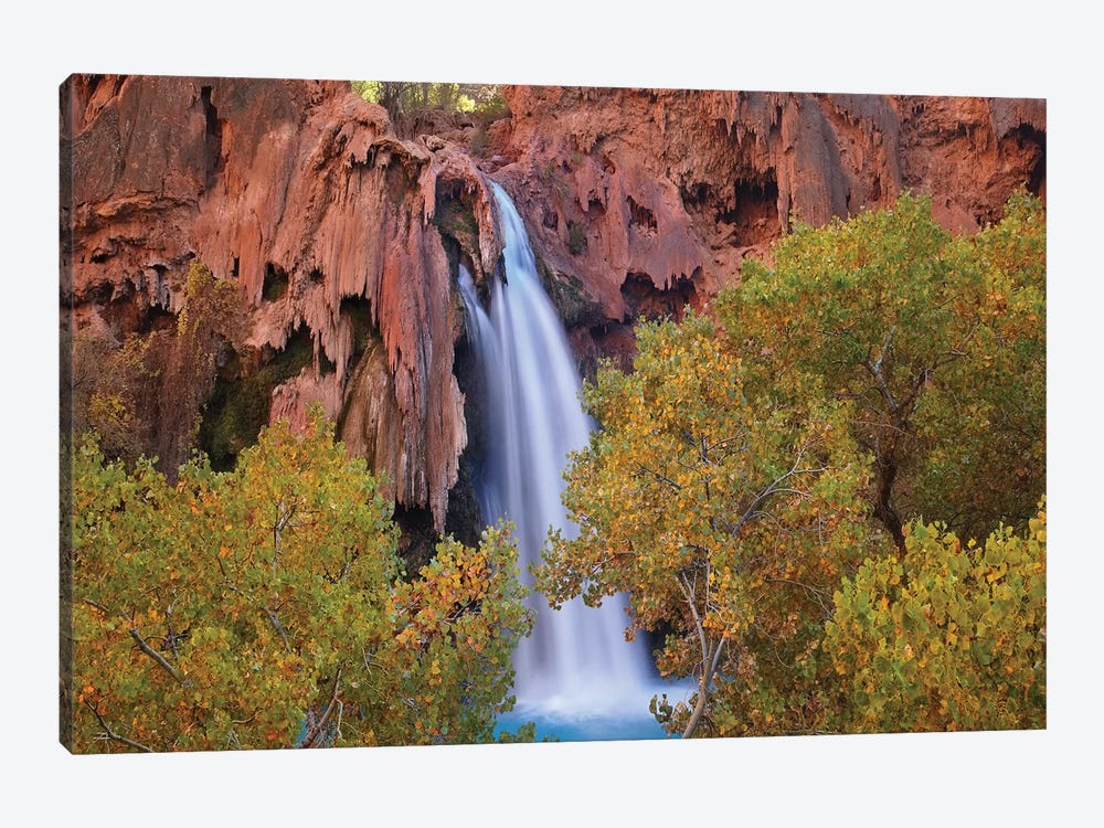 Havasu Falls, Grand Canyon, Arizona IV by Tim Fitzharris 1-piece Canvas Print