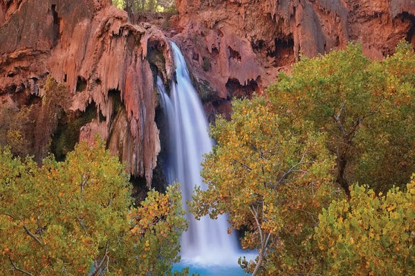 Grand Canyon National Park: Havasu Falls IV , Grand Canyon, Arizona by Tim Fitzharris