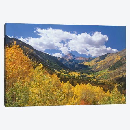 Haystack Mountain With Aspen Forest, Maroon Bells-Snowmass Wilderness, Colorado Canvas Print #TFI464} by Tim Fitzharris Canvas Art Print