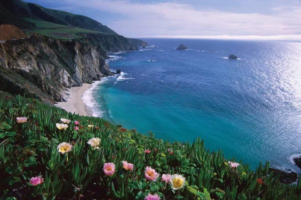 Big Sur: Ice Plant, Big Sur Coast Near Bixby Creek, California by Tim Fitzharris