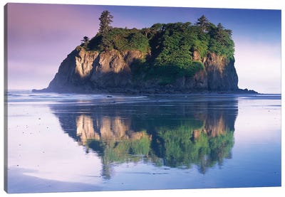 Abbey Island Looms Over Ruby Beach, Olympic National Park, Washington Canvas Art Print - Olympic National Park Art