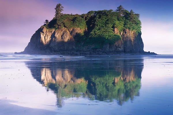 Olympic National Park: Abbey Island Looms Over Ruby Beach, Olympic National Park, Washington by Tim Fitzharris