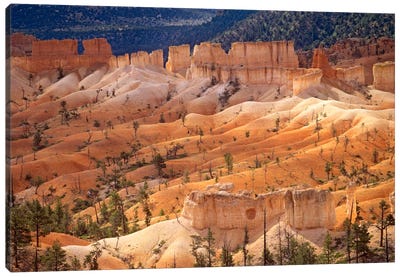 Landscape Of Eroded Formations Called Hoodoos And Fins, Bryce Canyon National Park, Utah Canvas Art Print - Bryce Canyon National Park Art