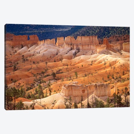 Landscape Of Eroded Formations Called Hoodoos And Fins, Bryce Canyon National Park, Utah Canvas Print #TFI506} by Tim Fitzharris Canvas Wall Art