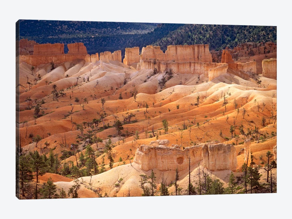 Landscape Of Eroded Formations Called Hoodoos And Fins, Bryce Canyon National Park, Utah 1-piece Canvas Art