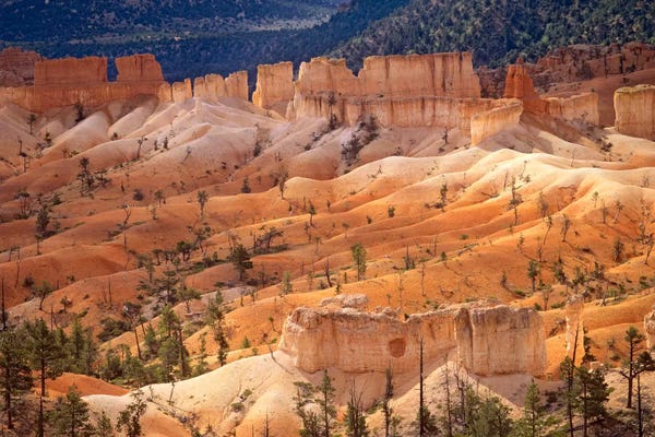 Utah: Landscape Of Eroded Formations Called Hoodoos And Fins, Bryce Canyon National Park, Utah by Tim Fitzharris