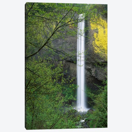Latourell Falls, Columbia River Gorge Near Portland, Oregon I Canvas Print #TFI513} by Tim Fitzharris Canvas Artwork