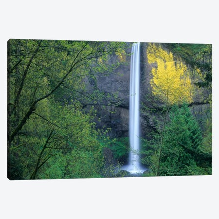 Latourell Falls, Columbia River Gorge Near Portland, Oregon II Canvas Print #TFI514} by Tim Fitzharris Canvas Print