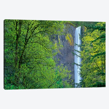 Latourell Falls, Columbia River Gorge Near Portland, Oregon III Canvas Print #TFI515} by Tim Fitzharris Art Print
