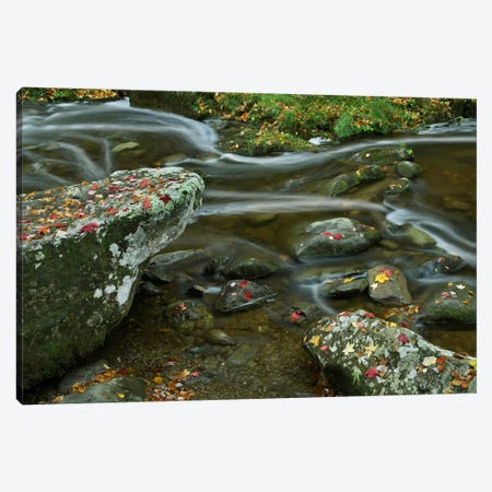 Laurel Creek, Great Smoky Mountains National Park, Tennessee Canvas Print #TFI517} by Tim Fitzharris Canvas Print