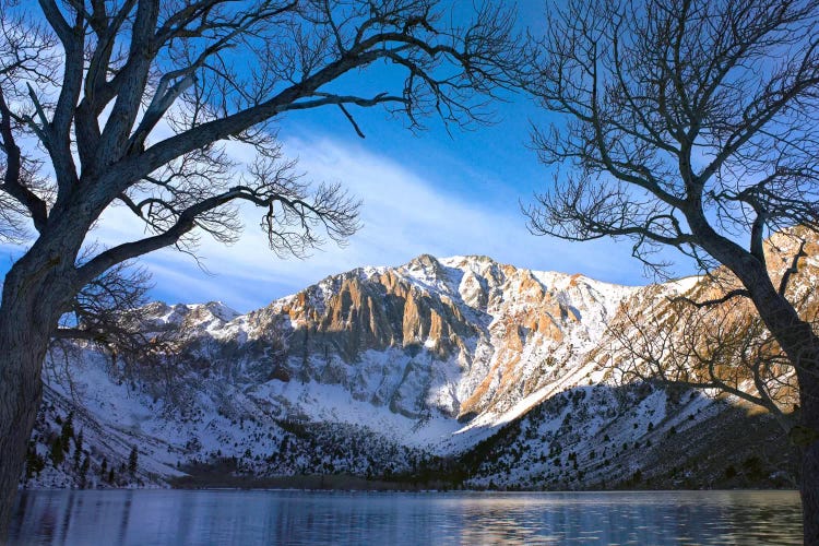 Laurel Mountain And Convict Lake Framed By Barren Trees In Winter, Eastern Sierra Nevada, California