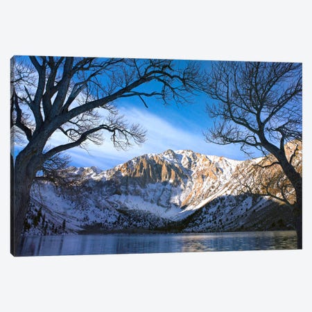 Laurel Mountain And Convict Lake Framed By Barren Trees In Winter, Eastern Sierra Nevada, California Canvas Print #TFI518} by Tim Fitzharris Canvas Wall Art