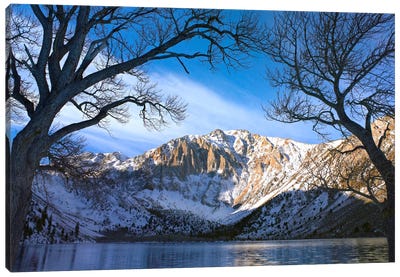 Laurel Mountain And Convict Lake Framed By Barren Trees In Winter, Eastern Sierra Nevada, California Canvas Art Print - Snowy Mountain Art
