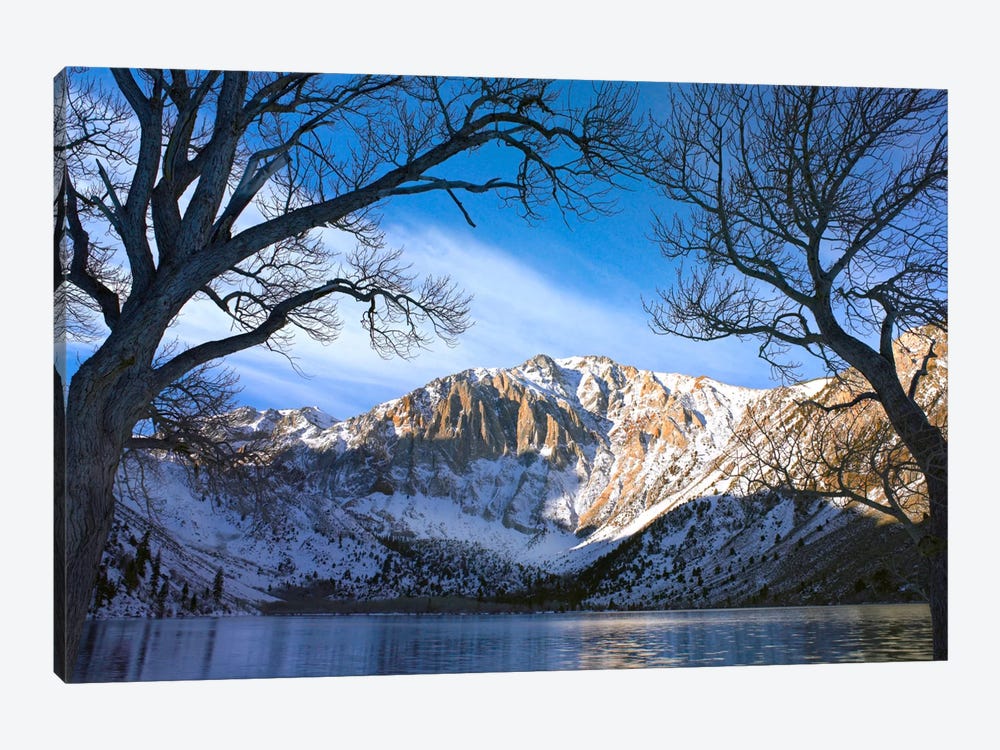 Laurel Mountain And Convict Lake Framed By Barren Trees In Winter, Eastern Sierra Nevada, California by Tim Fitzharris 1-piece Canvas Print