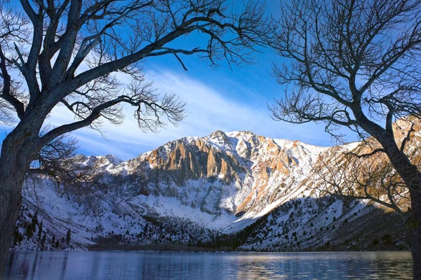 Sierra Nevada: Laurel Mountain And Convict Lake Framed By Barren Trees In Winter, Eastern Sierra Nevada, California by Tim Fitzharris