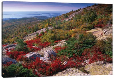 Atlantic Coast From Cadillac Mountain, Acadia National Park, Maine Canvas Art Print - Maine