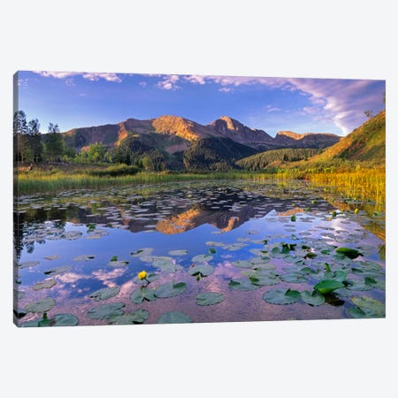 Lily Pads And Reflection Of Snowdon Peak In Pond, West Needle Mountains, Colorado Canvas Print #TFI530} by Tim Fitzharris Canvas Artwork