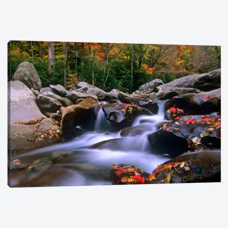 Little Pigeon River, Cascading Among Rocks And Colorful Fall Maple Leaves, Great Smoky Mountains National Park, Tennessee I Canvas Print #TFI533} by Tim Fitzharris Canvas Art