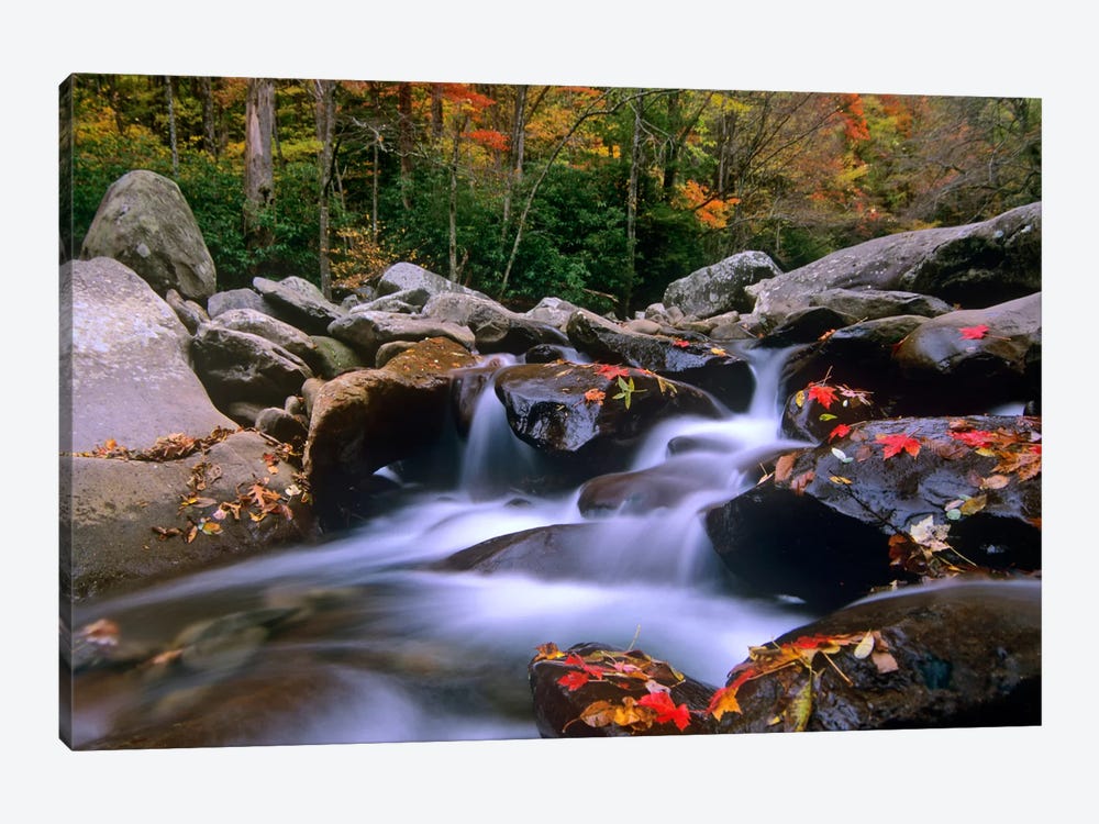Little Pigeon River, Cascading Among Rocks And Colorful Fall Maple Leaves, Great Smoky Mountains National Park, Tennessee I by Tim Fitzharris 1-piece Canvas Wall Art