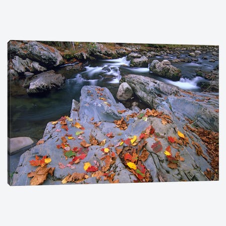 Little Pigeon River, Great Smoky Mountains National Park, Tennessee Canvas Print #TFI536} by Tim Fitzharris Canvas Print