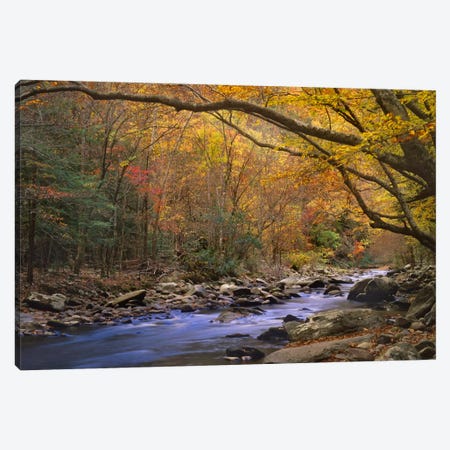 Little River Flowing Through Autumn Forest, Great Smoky Mountains National Park, Tennessee Canvas Print #TFI537} by Tim Fitzharris Canvas Art Print