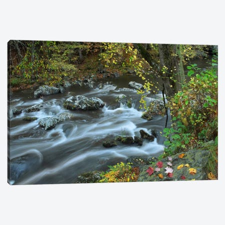 Little River, Great Smoky Mountains National Park, Tennessee Canvas Print #TFI538} by Tim Fitzharris Canvas Wall Art