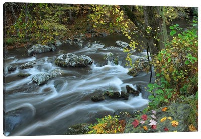 Little River, Great Smoky Mountains National Park, Tennessee Canvas Art Print - Great Smoky Mountains National Park