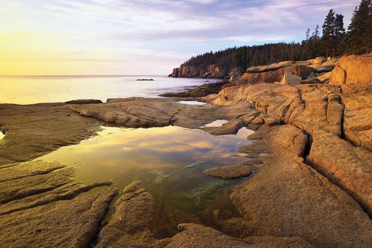 Atlantic Coast Near Thunder Hole, Acadia National Park, Maine I