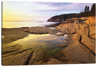 Atlantic Coast Near Thunder Hole, Acadia National Park, Maine I Canvas Art Print - Maine