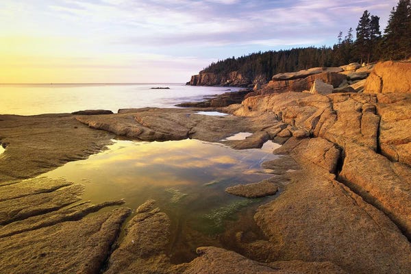 Cottagecore Goes Coastal: Atlantic Coast Near Thunder Hole I, Acadia National Park, Maine by Tim Fitzharris
