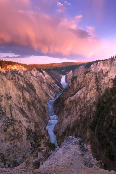Wyoming: Lower Yellowstone Falls, Yellowstone National Park, Wyoming II by Tim Fitzharris